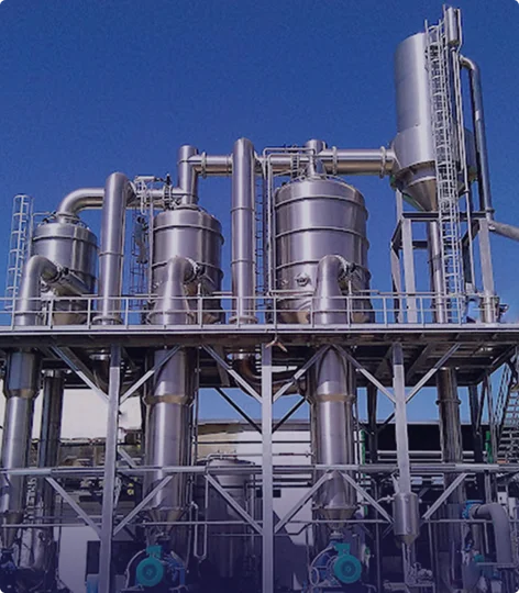 Sugar Production